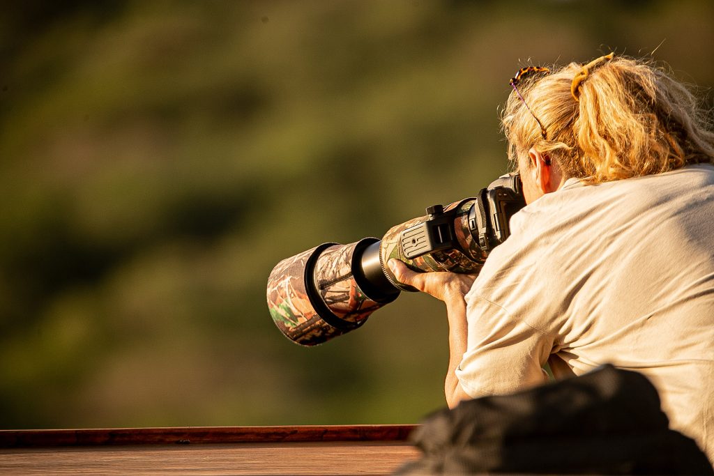 Photography Safaris