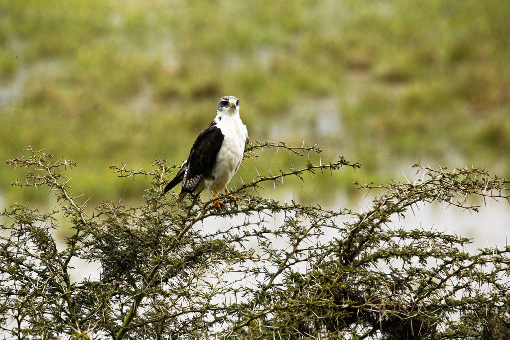 Marangu Village Day Trip